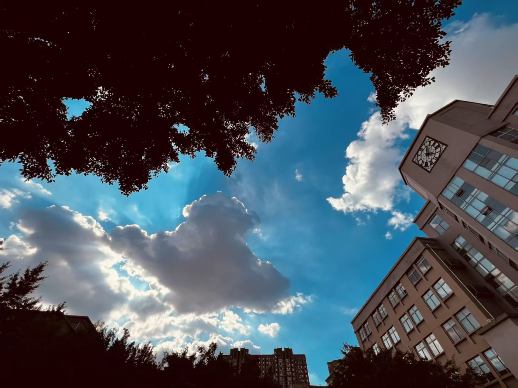 从偏科迷茫到文理兼修，她的光是良师与思维